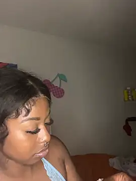 TinyBlazian901 webcam