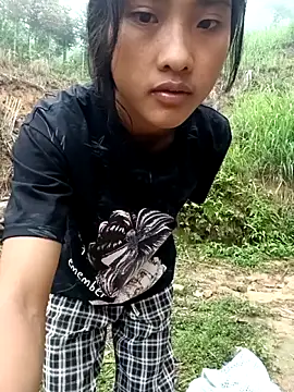 Hoa-tuylip webcam