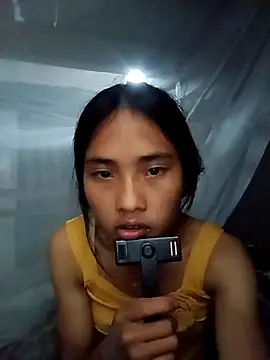 Hoa-tuylip