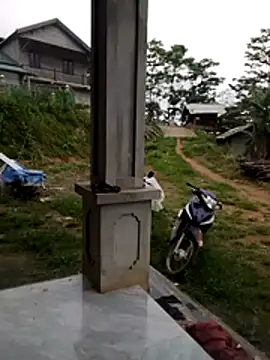Thobaby112 webcam
