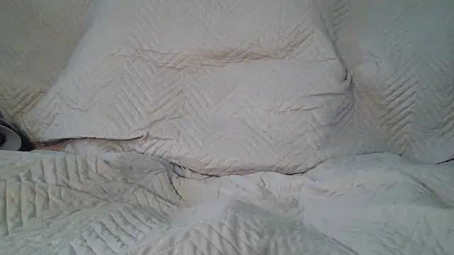 axes webcam