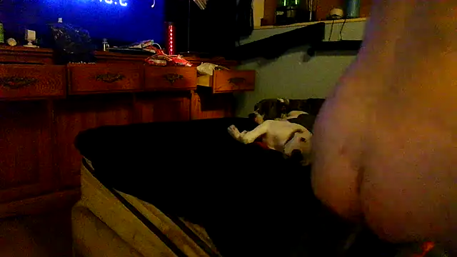 PornStro921 webcam
