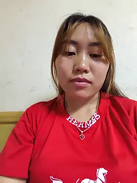 he-se-kin webcam
