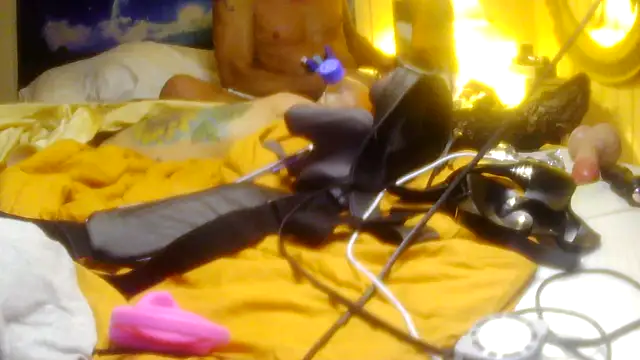 darnette_daisy webcam