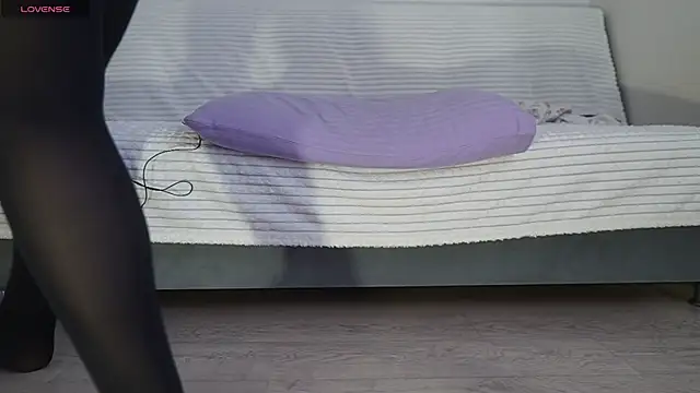 Fecvht45 webcam