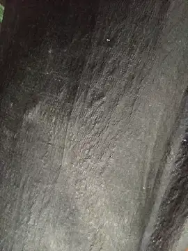 __Halen__ webcam