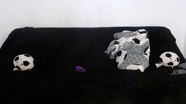 Steilormuller66 webcam