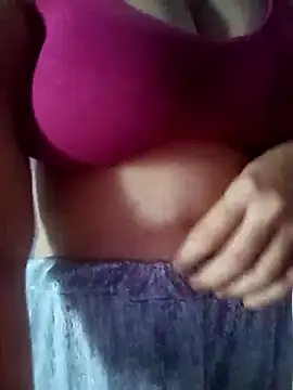 Hansikatelugu webcam