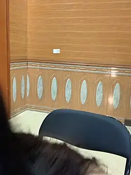 hide_from_colleagues webcam