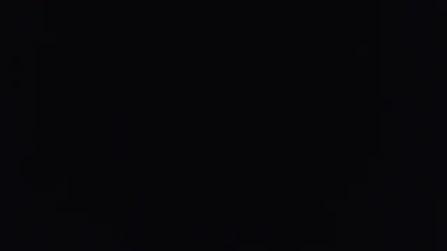 yourvibedealer webcam