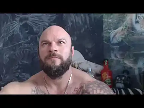 viking_30 webcam