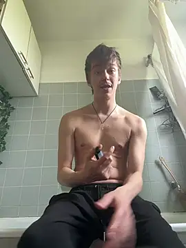 Toyjungee webcam