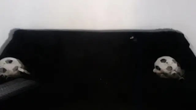 Steilormuller66 webcam