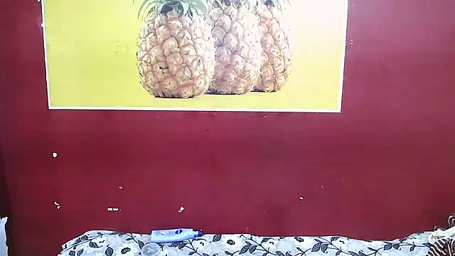 perfect-couple25 webcam