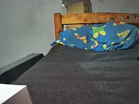 mr2nice2 webcam