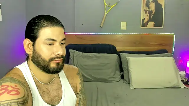 Prometeo-grizzly webcam