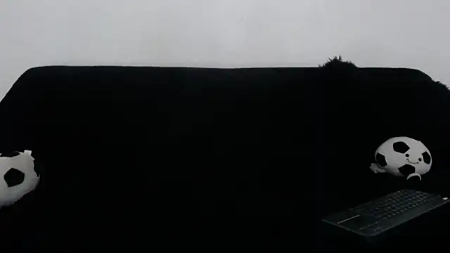 Steilormuller66 webcam