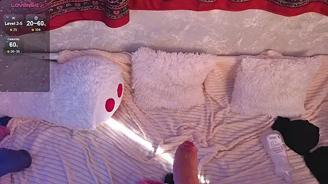 mirida_fox webcam
