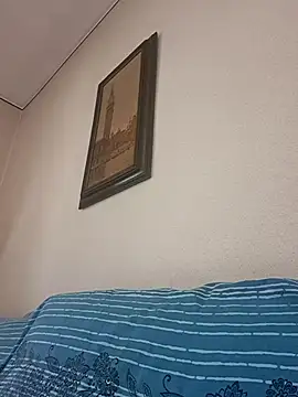 Sony28v webcam
