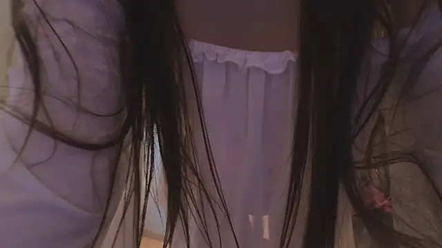Alice-Lidel webcam