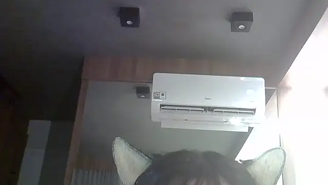 SkinnyKitten webcam
