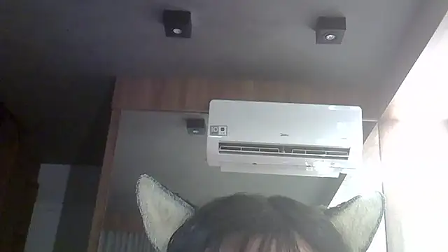 SkinnyKitten webcam