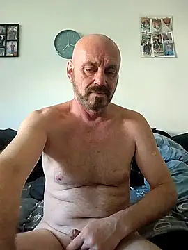 wilkalfa webcam