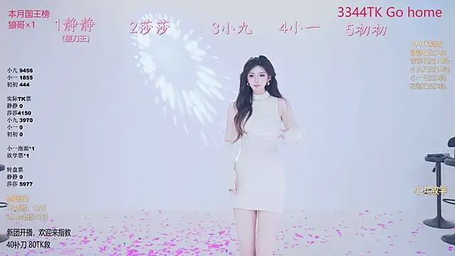 TY-002 webcam