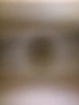 Mailsonp webcam