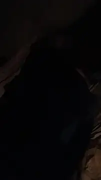 cmagic9 webcam