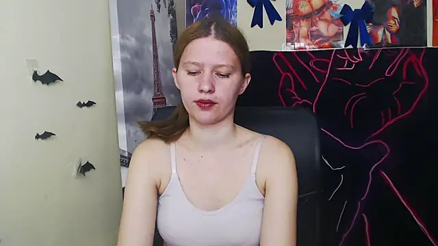 StellaCRL webcam