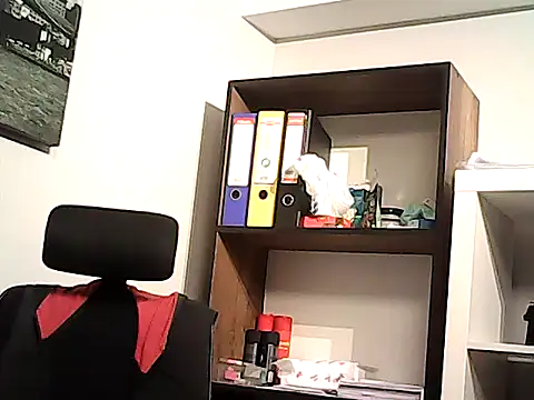 mastercharisma35 webcam