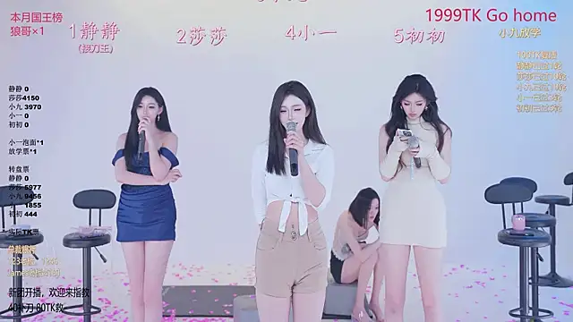 TY-002 webcam