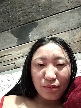 zhen-zo webcam