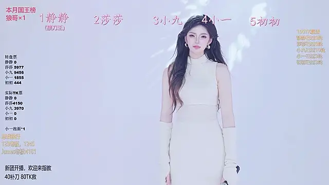 TY-002 webcam