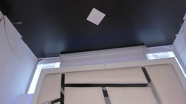 chrystal_js webcam
