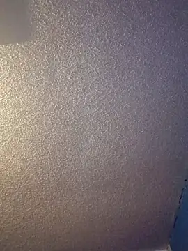 C8L3U webcam