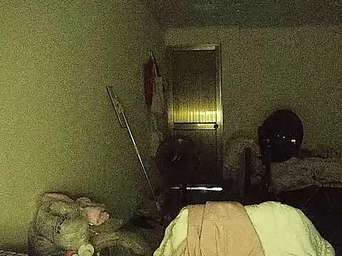 RebelAura webcam