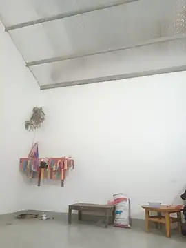 jikey-bibi webcam