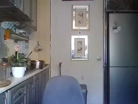 Baby-Matilda webcam
