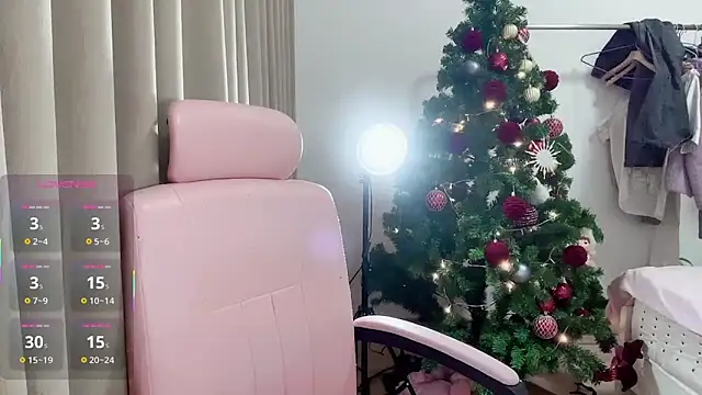 Puff-521 webcam