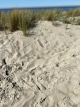 friemeldepiemel webcam