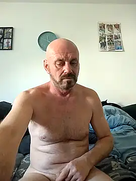 wilkalfa webcam