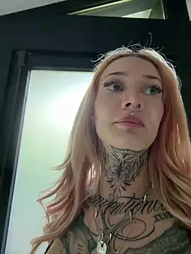 Stella-Kink webcam