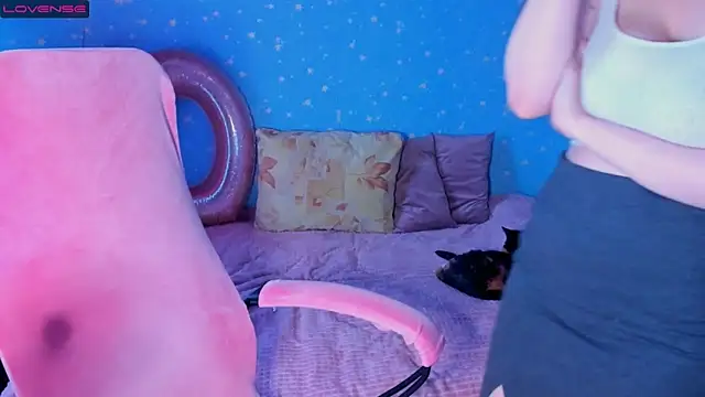 Traneba webcam