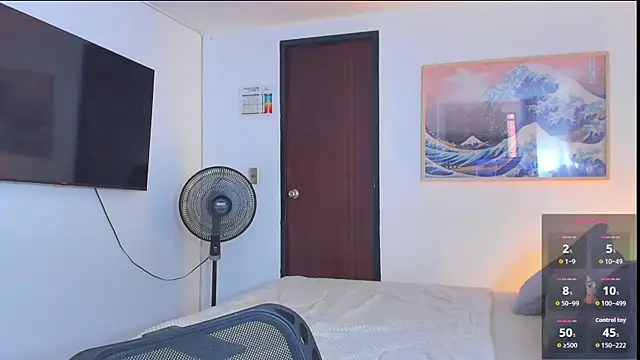 RJBarto webcam