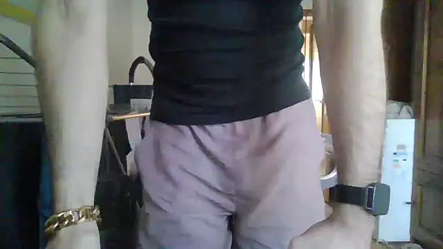 XLBarehengst webcam