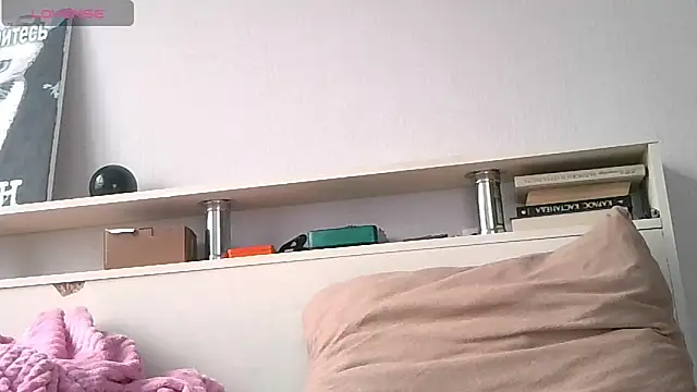 Ernest_ice webcam