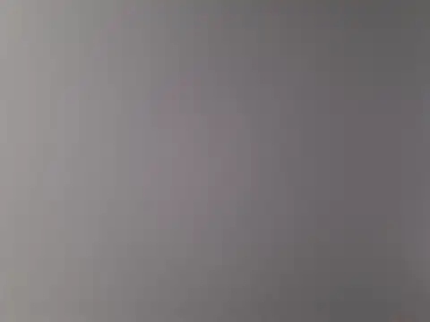 feathersify webcam