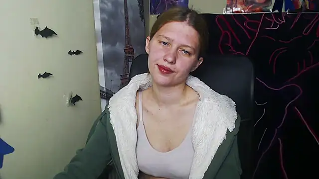 StellaCRL webcam